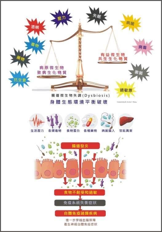 bionin dysbiosis